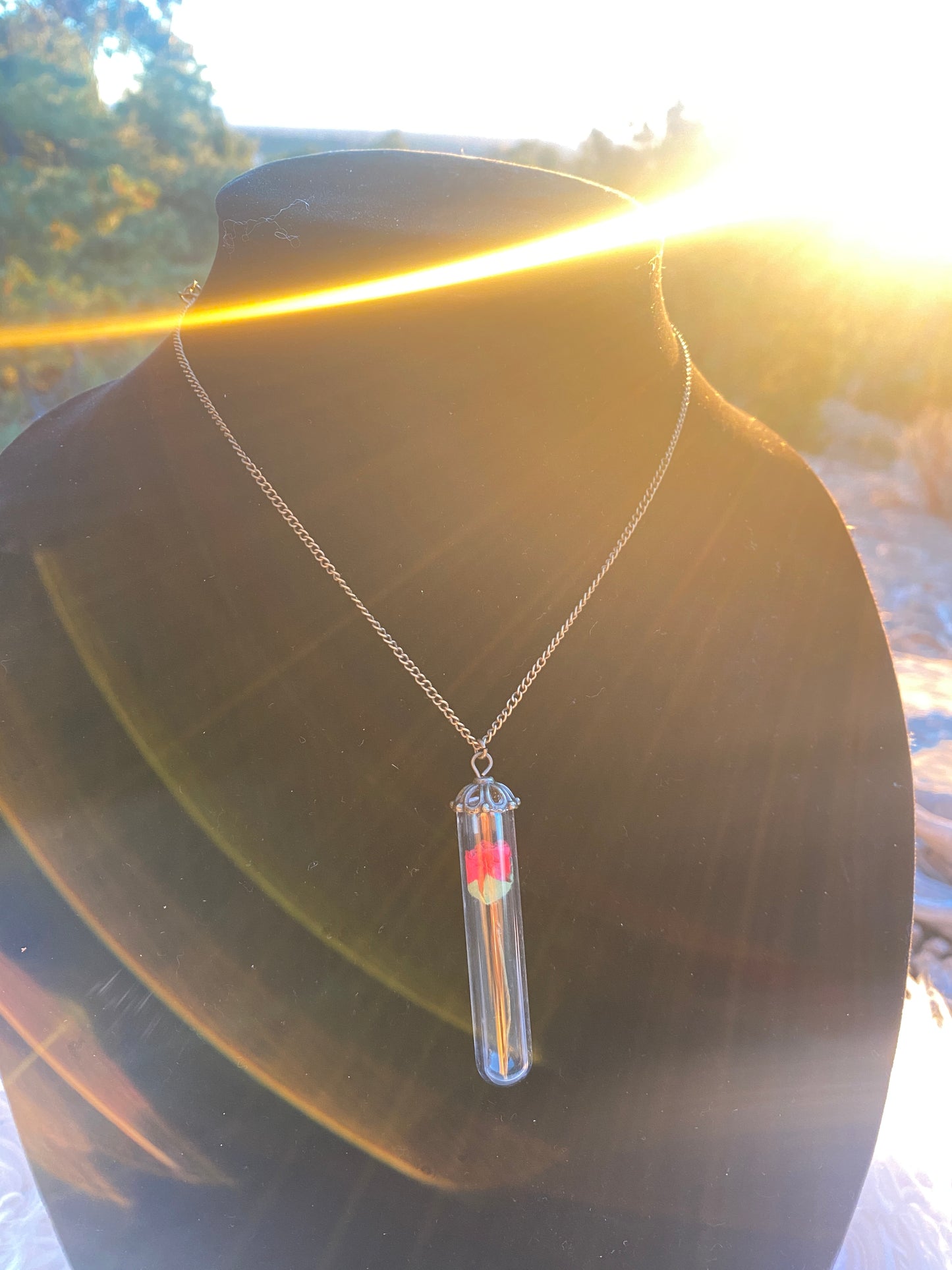Fairy Tale Magical Red Rose in Glass Vial