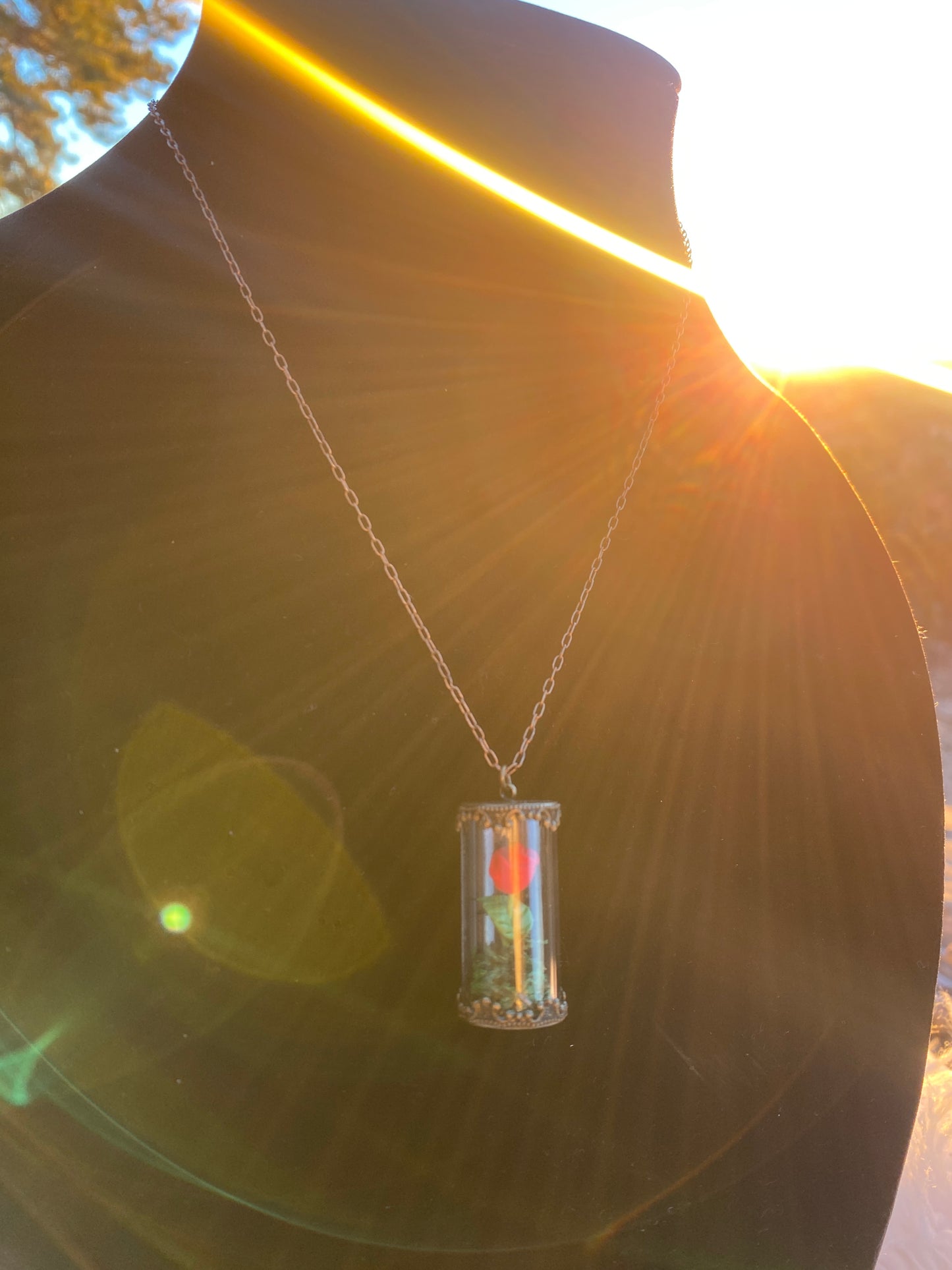 Fairy Tale Magical Red Rose in Glass Cage